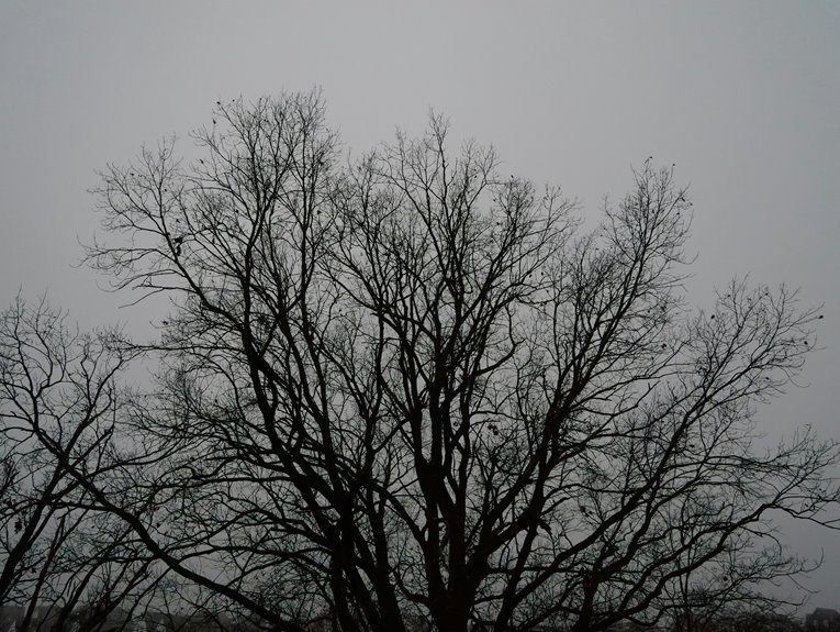 identifier validation procedure outline