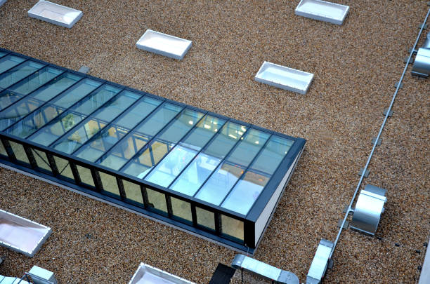 Why Healthcare Facilities Should Buy Flat Rooflights Online A Complete Guide to Smarter Infrastructure